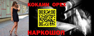 шишки Славгород