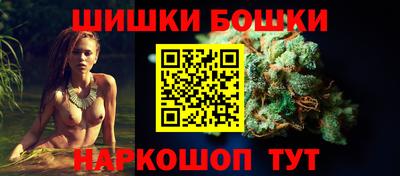 шишки Славгород