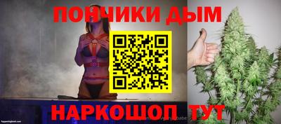шишки Славгород