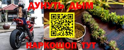шишки Славгород