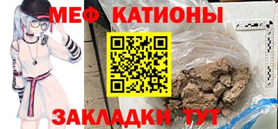 шишки Славгород
