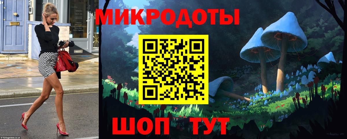 Осинники  Псилоцибиновые грибы Cubensis  Вход с VPN  Галлюциногенные грибы Psilocybine cubensis 